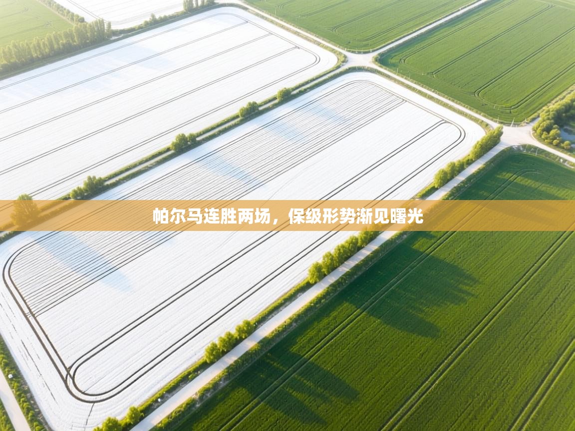 帕尔马连胜两场，保级形势渐见曙光  第1张